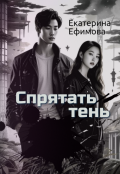 Обложка книги "Спрятать тень"