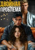 Обложка книги "Двойная проблема"