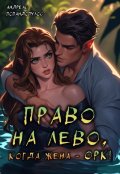 Обложка книги "Право на лево, когда жена - Орк!"