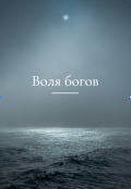 Обложка книги "Воля богов"