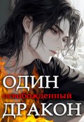 Обложка книги "Один освобожденный дракон"