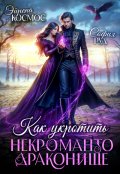 Обложка книги "Как укротить некроманто-драконище"