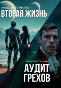 Обложка книги "Аудит грехов. Вторая жизнь "