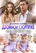 Обложка книги "Двойной сюрприз под Новый год"