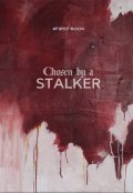 Обложка книги "Chosen by stalker"