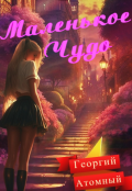 Обложка книги "Маленькое Чудо"