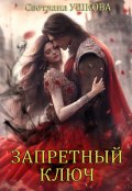 Обложка книги "Запретный ключ"