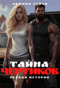 Обложка книги "Тайна Чертиков"