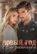 Обложка книги "Новый Год с незнакомцем"