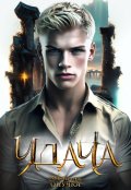 Обложка книги "Удача"