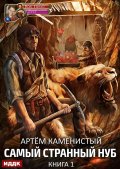 Обложка книги "Самый странный нуб. Книга 1"