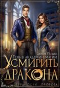 Обложка книги "Тень в Академии магии. Усмирить дракона"