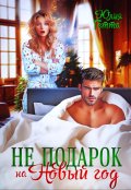 Обложка книги "Не подарок на Новый год"