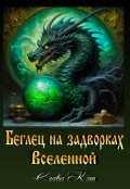 Обложка книги "Беглец на задворках Вселенной"