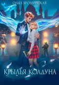 Обложка книги "Крылья колдуна"