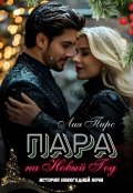 Обложка книги "Пара на Новый год "