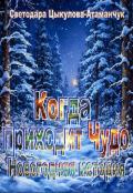 Обложка книги "Когда приходит Чудо. Новогодняя история"