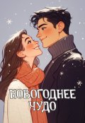 Обложка книги "Новогоднее чудо"