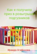 Обложка книги "Как я получила приз в розыгрыше подгузников"