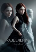 Обложка книги "Разделение"