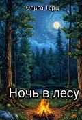 Обложка книги "Ночь в лесу"