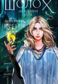 Обложка книги "Шолох. Академия Буря"