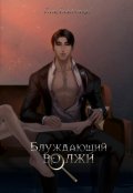 Обложка книги "Блуждающий во лжи"