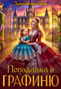 Обложка книги "Попаданка в графиню"