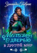 Обложка книги "Магазин с дверью в другой мир"