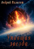 Обложка книги "Упавшая звезда"