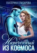 Обложка книги "Нареченный из космоса"