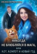 Обложка книги "Никогда не влюбляйся в мага, или Кот, компот и Новый год "