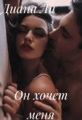 Обложка книги "Он хочет меня"