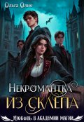 Обложка книги "Некромантка из склепа"