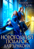 Обложка книги "Новогодний подарок для дракона"