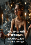 Обложка книги "Магический аттракцион Каманджи"