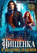 Обложка книги "Нищенка в академии драконов"