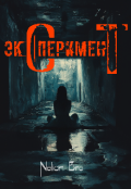 Обложка книги "Эксперимент "