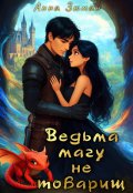 Обложка книги "Ведьма магу не товарищ"