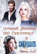 Обложка книги "Суровый Морозов, (не) Снегурочка и Снежинка"