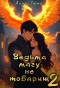 Обложка книги "Ведьма магу не товарищ. Книга 2"