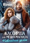 Обложка книги "Кассирша для медиамагната (история Кривова)"