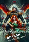 Обложка книги "Генерал Мрак, или Дракон, не зли Ведьму!"