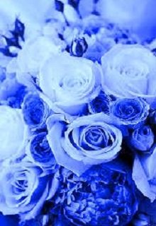Книга. "Там цветут синие розы..." читать онлайн