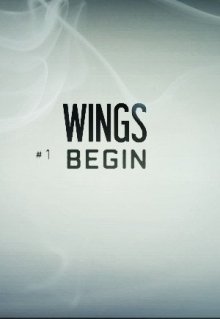 Книга. "Wings:begin" читать онлайн