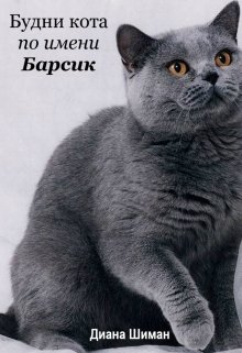 Книга. "Будни кота по имени Барсик" читать онлайн
