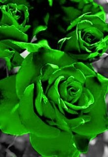 Обложка книги "Зелёная роза - роза желаний (6)"