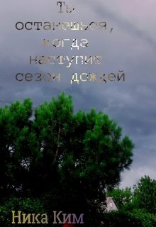 Книга. "Ты останешься, когда наступит сезон дождей." читать онлайн