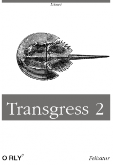 Книга. "Трансгресс 2" читать онлайн