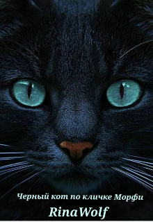 Книга. "Черный кот по кличке Морфи" читать онлайн